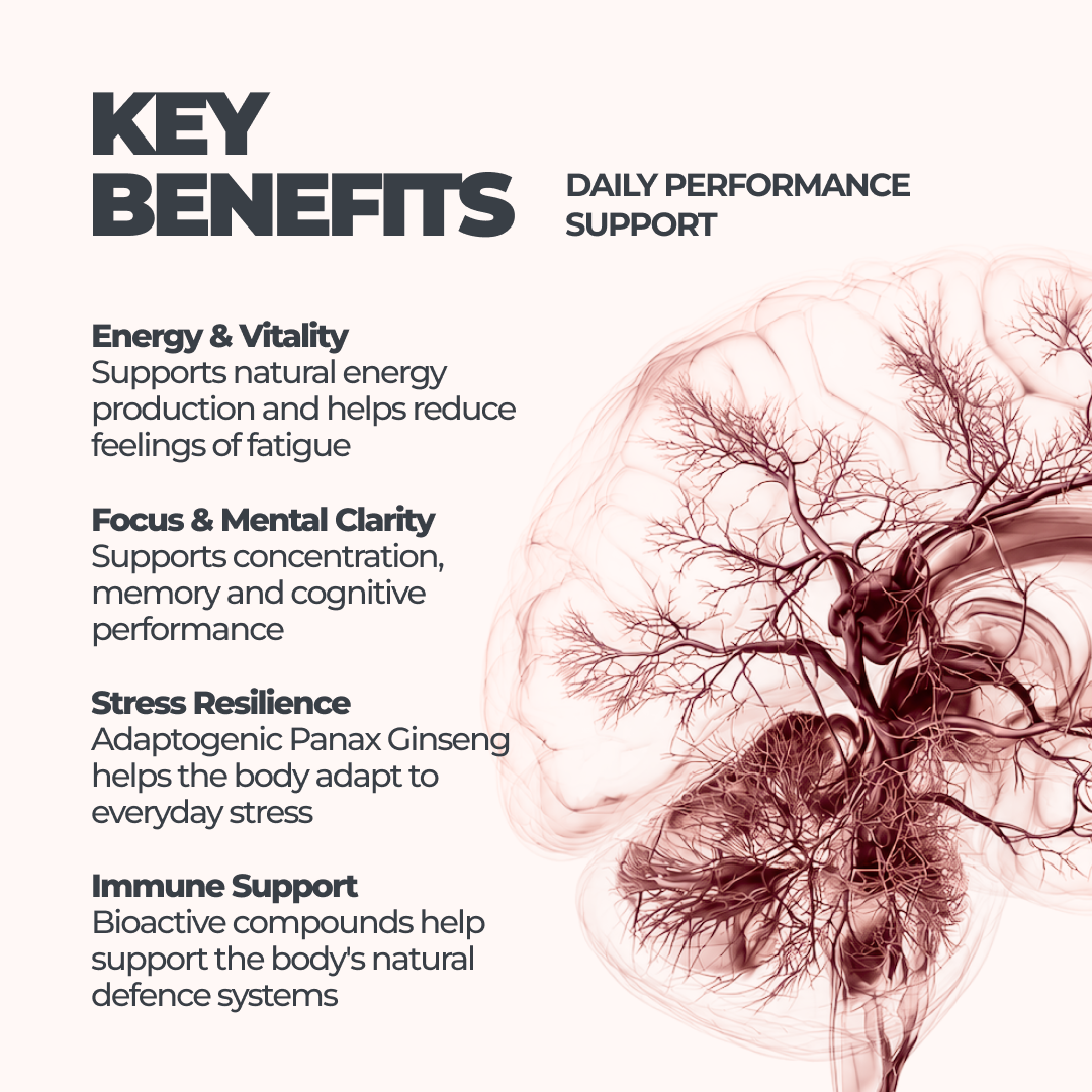 Ginseng + Royal Jelly DY Life, 60 Softgels, 30 Servings