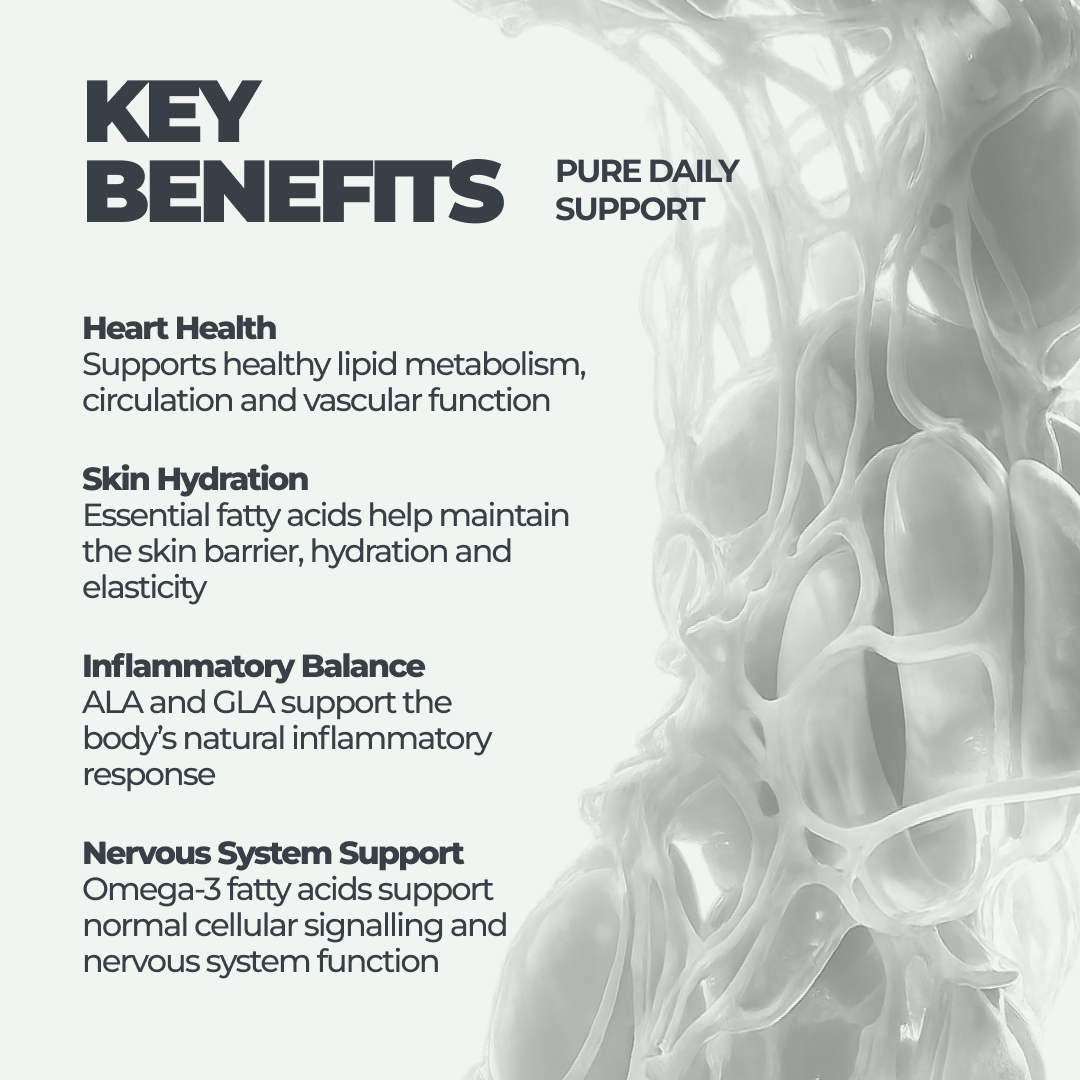 Hemp Oil DY Life, 60 Softgels, 30 Servings