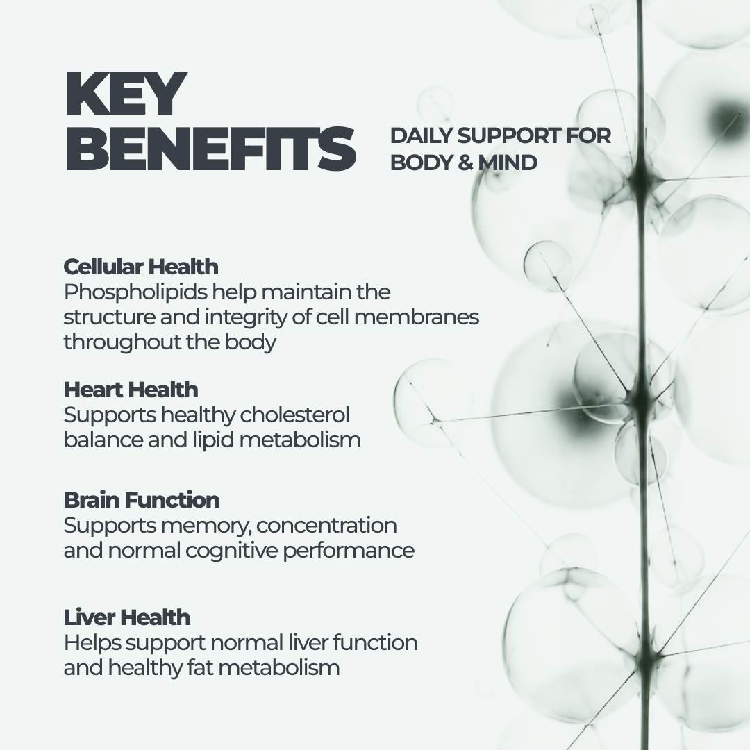 Soy Lecithin DY Life, 60 Softgels, 60 Servings