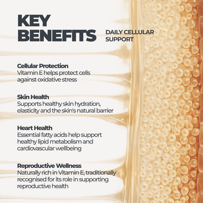 Wheat Germ Oil DY Life, 60 Softgels, 30 Servings